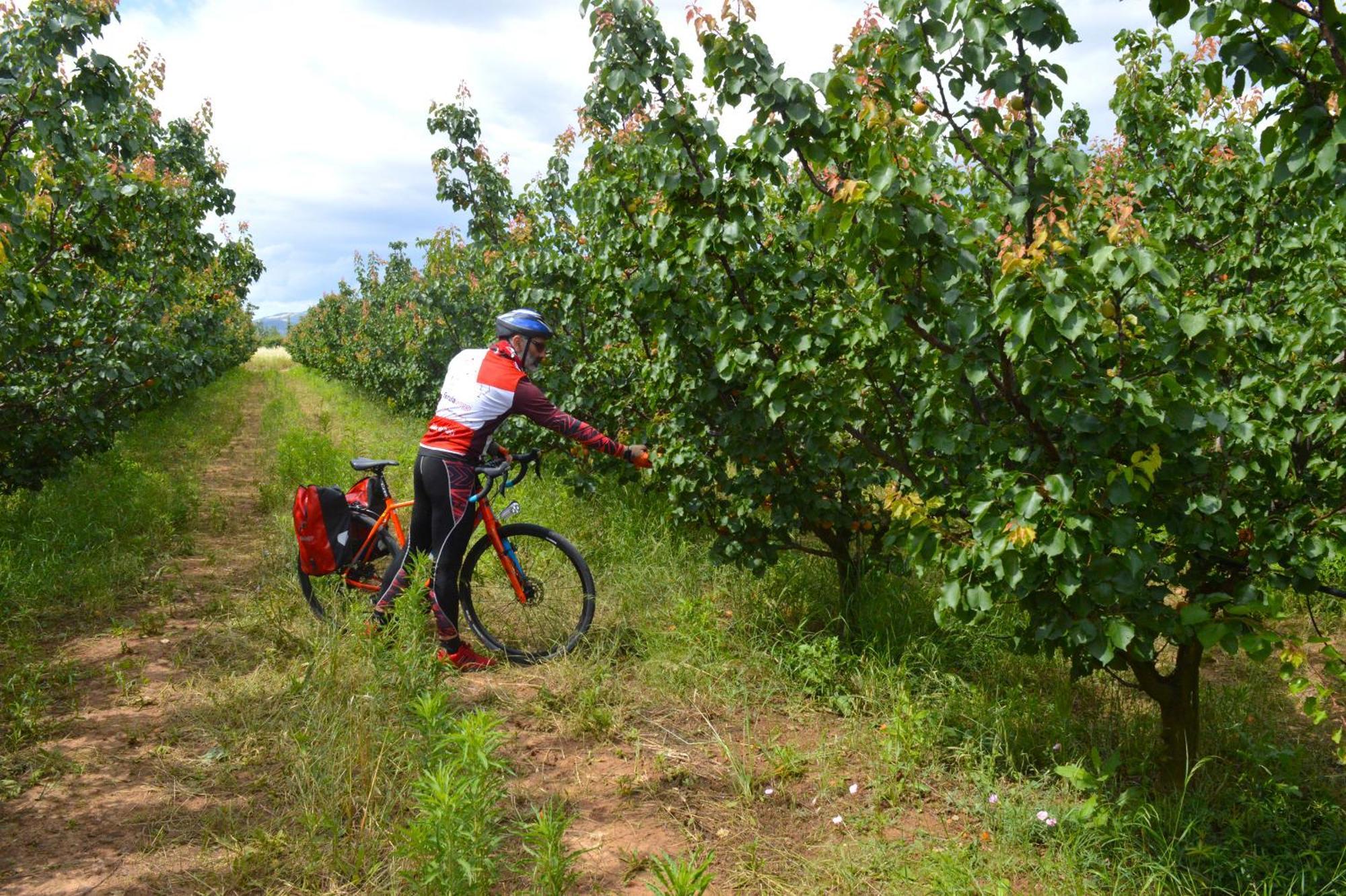 Azienda Agrituristica Il Pago Nova Siri Marina Eksteriør bilde