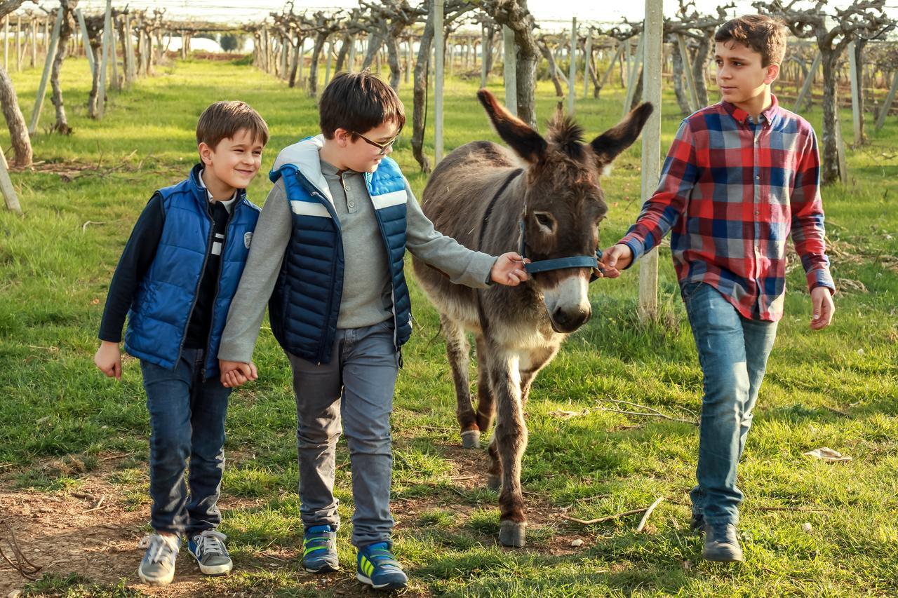 Azienda Agrituristica Il Pago Nova Siri Marina Eksteriør bilde